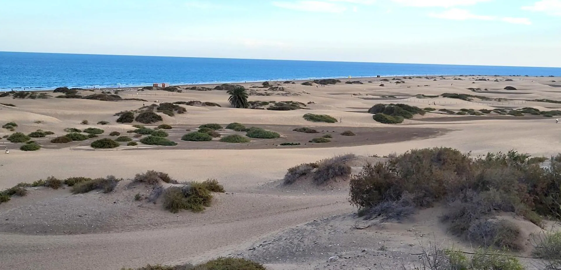 فيلا Sunnypalms Casa Mar 22 بلايا ديل إنغلز