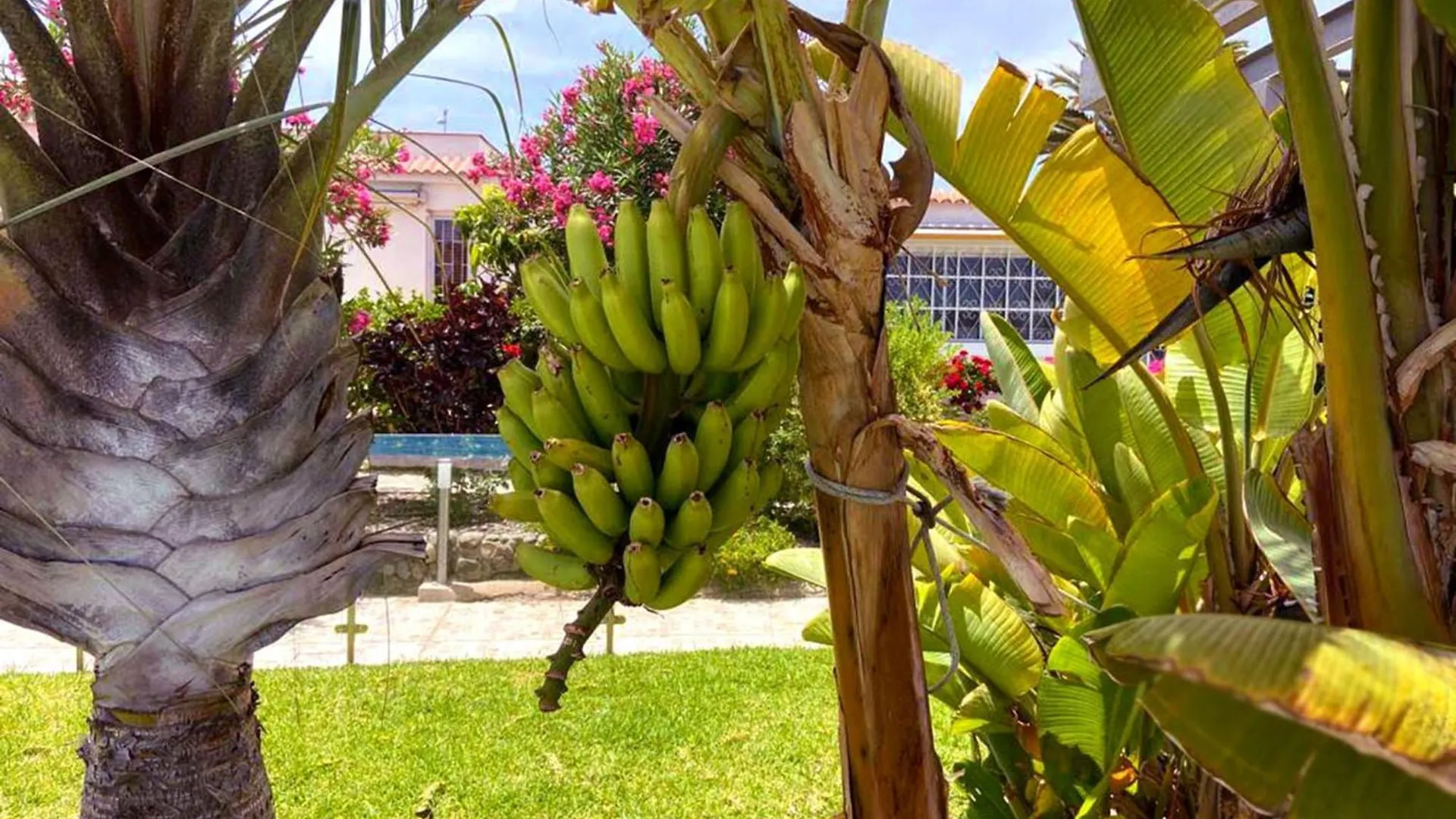Holiday home Sunnypalms Casa Mar 22 Villa Playa del Ingles